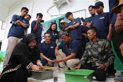 GoRiau Asian Agri Gelar Pelatihan Budidaya Maggot Dan Azolla Untuk