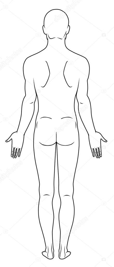 Naked Standing Man Stock Vector Image By Arlatis 6884986