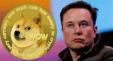 Dogecoin Twitter Logo Changed Why Though • Techbriefly