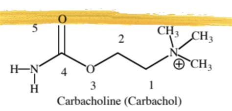 Pharmacology Cholinergicanticholinergicneuromuscular Blocking