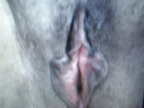 Just A Few Randoms Porn Pictures XXX Photos Sex Images 1009022 PICTOA