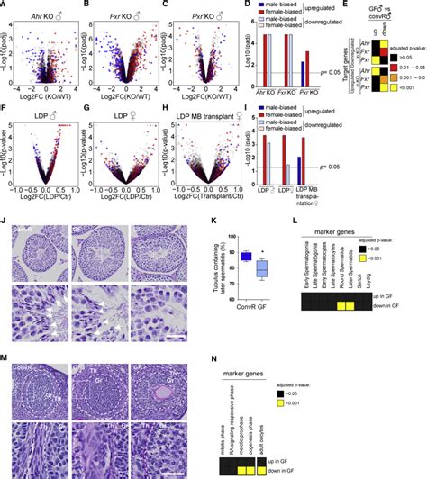 The Mouse Microbiome Is Required For Sex Specific Diurnal Rhythms Of Gene Expression And