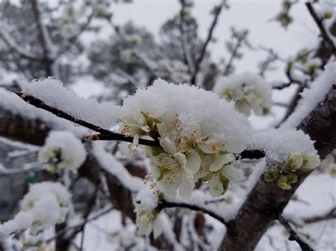 bryan funeral home hoxie ar obituaries 5