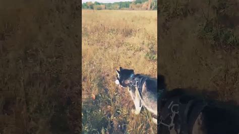 Доброго дня 🙂 - YouTube