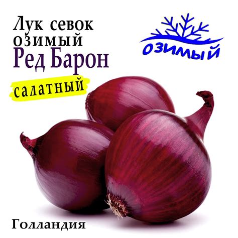 Лук севок озимый Ред Барон (Red Baron) Голландия 1 кг – низкие цены ...