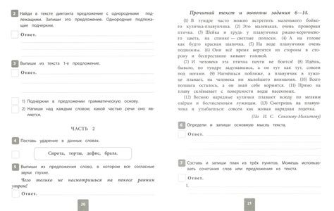 Образец по впр по русскому языку 4 класс