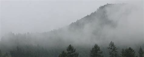 ᗩK-KIYIK | ВКонтакте