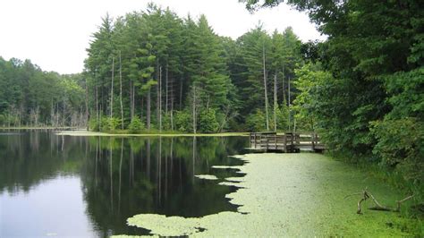 Primitive Camping In Indiana 14 Best Free Dispersed Campsites