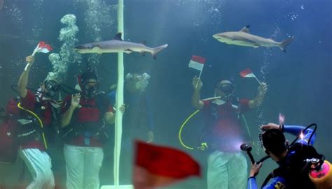 Prosesi Pengibaran Bendera Merah Putih Di Seaworld Foto Tempo Co