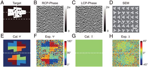 Nonlinear Vectorial Holography With Quad Atom Metasurfaces Pnas