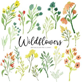 Watercolor Wild Flowers Clipart By Emily Cutrer Tpt