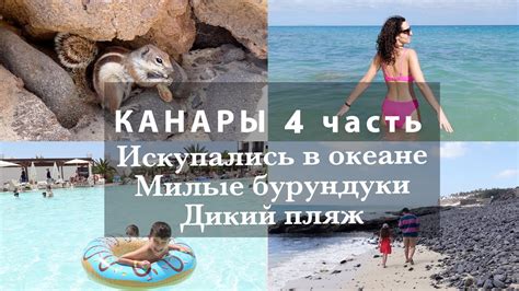 5 ДЕНЬ НА ОСТРОВЕ🏝️ИСКУПАЛИСЬ В ОКЕАНЕ🌊НАКОРМИЛИ ВСЕХ БУРУНДУКОВ!🐿️ ...