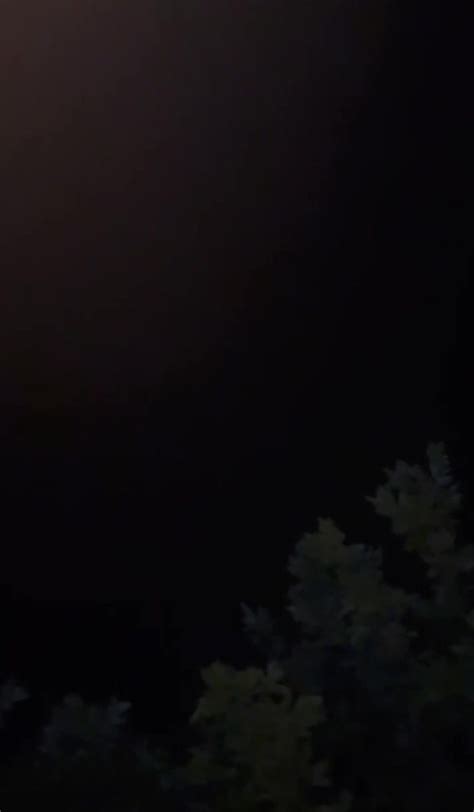 Watch Free Danielle Bregoli Nude Boobs Dancing Porn Video Porn Video WebcamShows TV