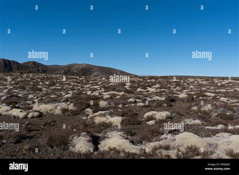 National Park New Zealand Hi Res Stock Photography And Images Alamy