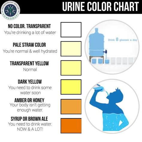 pregnancy urine color chart warehouse of ideas what color is your pee