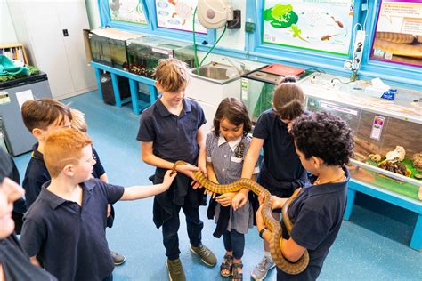 Alberton Primary School - Department for Education