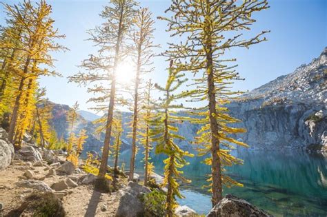 Premium Photo Alpine Lake