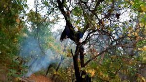 humpingを視聴 Xhamster Masturbating Masturbation Porn SpankBang