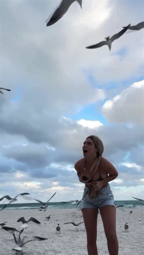 Lele Pons Desnuda En La Playa Por Una Gaviota Que Le Quita El Bikini
