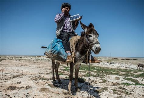 Кнут пастуха фото