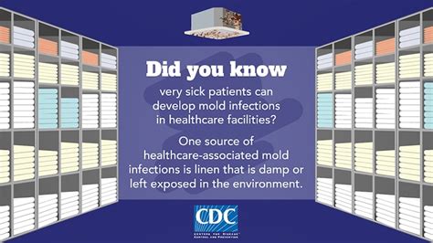 Video: Mold and Laundry | Fungal Diseases | CDC