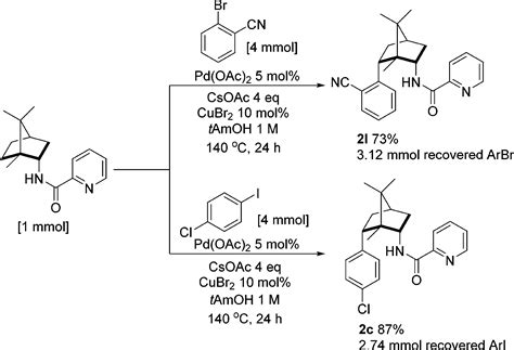 Silver Free Palladium Catalyzed C Sp3 H Arylation Of Saturated