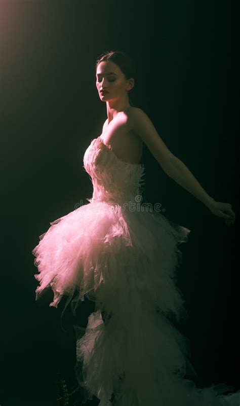 Gorgeous Brunette Model Ballerina Girl With Beautiful Hairstyle And Make Up Stock Image Image