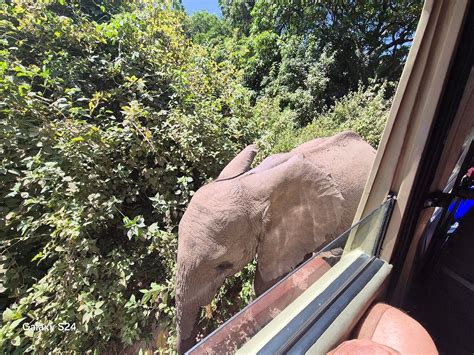 Amshar Serengeti Adventures (2025) - All You Need to Know BEFORE You Go ...