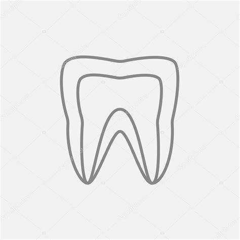 Molar Tooth Line Icon Stock Vector Image By Visualgeneration