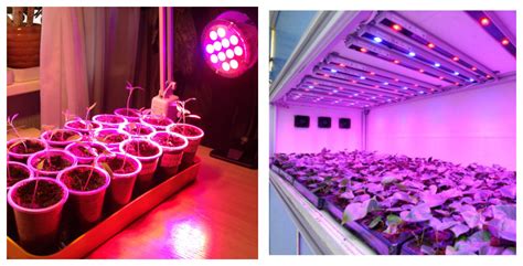 Лампа для выращивания рассады: обзор видов и особенности процесса ...