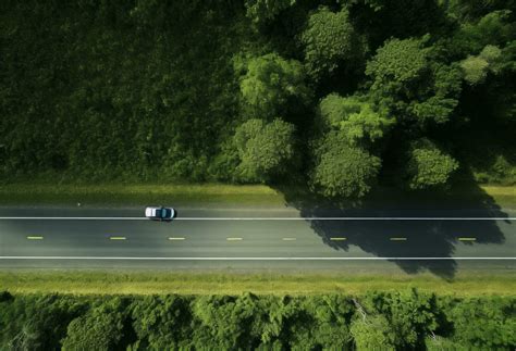 AI generated a view of a road and trees 36793851 Stock Photo at Vecteezy