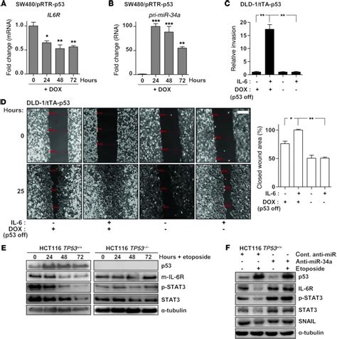 Il 6rstat3mir 34a Feedback Loop Promotes Emt Mediated Colorectal