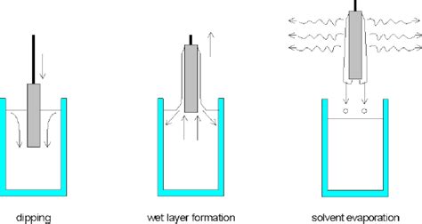 Stages Of The Dip Coating Process Dipping Of The Substrate Into The