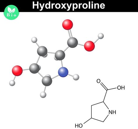 Hydroxyproline L G