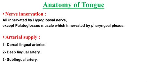 Anatomy Anatomy Of Mouth Pharynx Esophagus Stomach And Duodenum Ppt