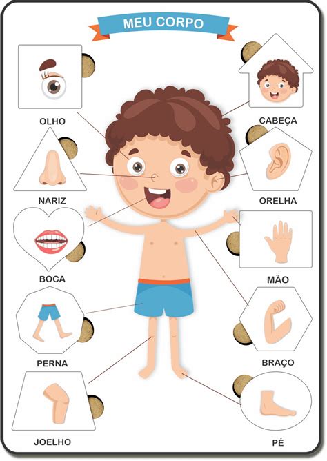 Desenho Das Partes Do Corpo - 5