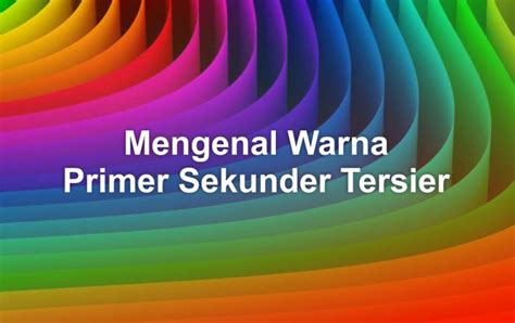 mengenal warna primer sekunder tersier  praktek dokter