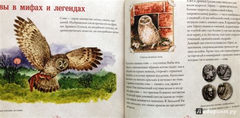 Книга: Небольшая книга о совах - Владимир Бабенко. Купить книгу, читать ...