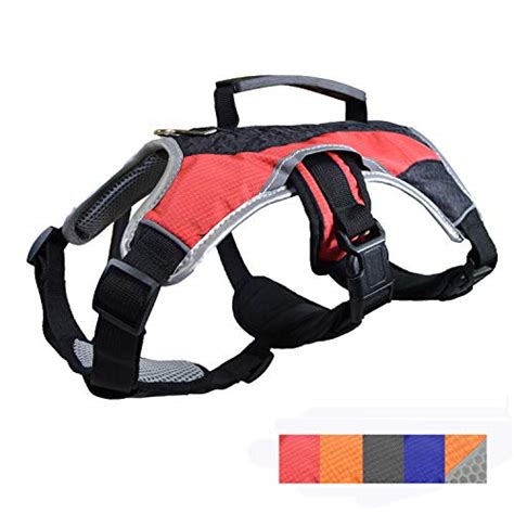 Best Senior Dog Harness with a Handle - PatchPuppy.com