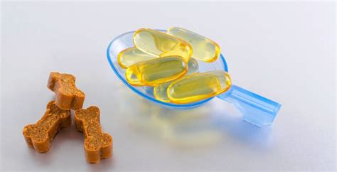 Рыбий жир для собак: дозировка, польза или вред | как давать