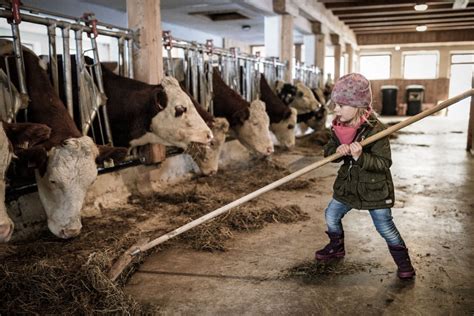 Bauernhofurlaub mit Kindern in Österreich Bauernhof Hotel Moar Gut