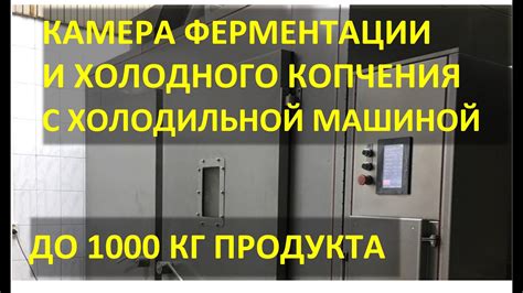 Обзор. Камера холодного копчения и ферментации. - YouTube