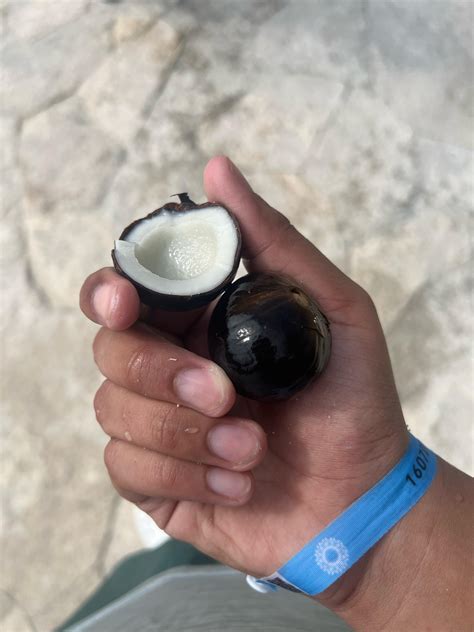 197 Best Cancun Mexico Images On Pholder Pics Earth Porn And Whatsthisbug