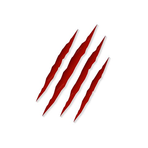 Premium Vector | Claws scratching animal isolated on white background