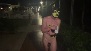 PupHouse S Gay Porn Videos Pornhub