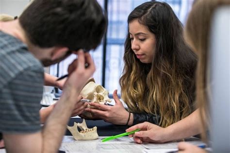 Cool Course Dispatch: Forensic Anthropology - MEET NYU