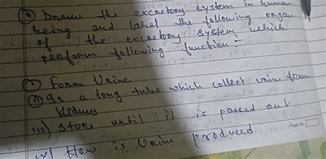 Draw The Excretory System And Label 7