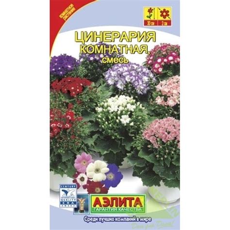 Цинерария комнатная смесь окрасок — купить в интернет-магазине OZON с ...