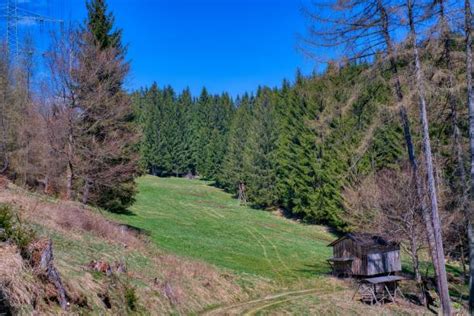 Rennsteig - Bilder und Stockfotos - iStock