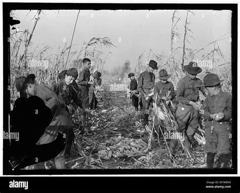 Boy Scouts Boy Scout Farm Lccn2016868617 Stock Photo Alamy